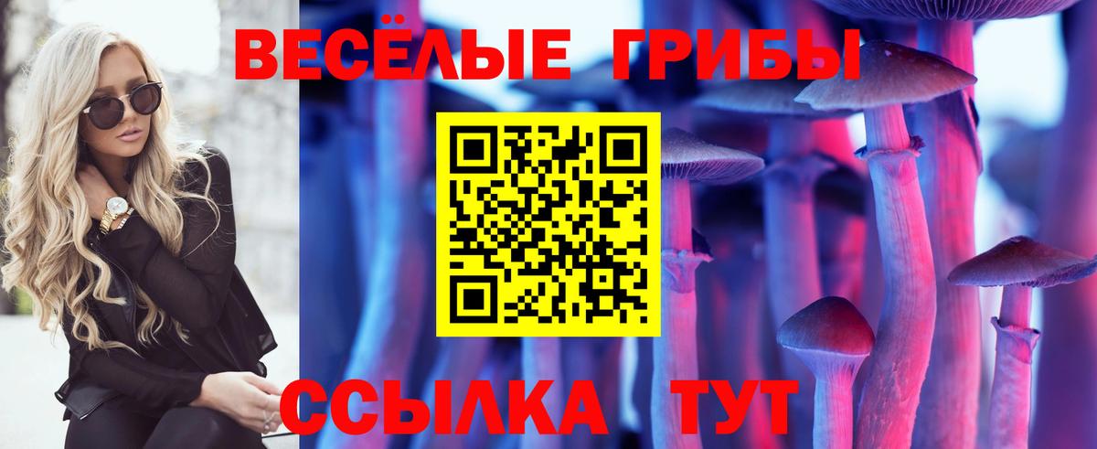 Апатиты  Галлюциногенные грибы Cubensis  где можно купить наркотик  Вход с VPN 